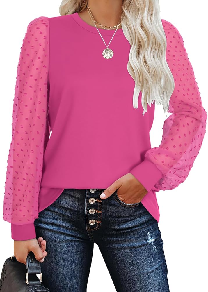 WIHOLL Long Sleeve Shirts for Women Tops Tunic Fall Trendy Crew Neck Clothes