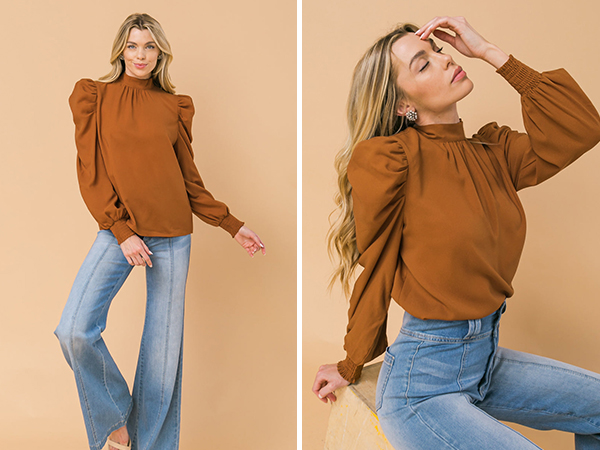 Elegant Puff Long Sleeve Shirts